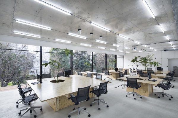 Ánh sáng quan trọng như thế nào trong thiết kế văn phòng